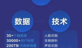 平安最新大爆料下载安装,下载安装背后的秘密与惊喜